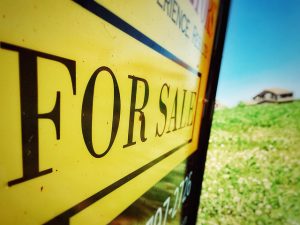 For Sale sign in grassy field.