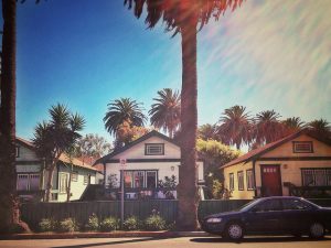 Palm trees and houses under clear sky.