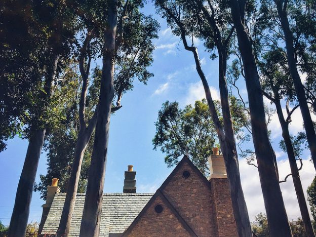 Cottage surrounded by tall trees and sky.