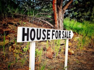 For sale sign in wooded area.