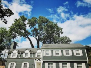 Two-story house with large trees behind.